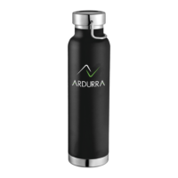 Insulated Bottle 22oz