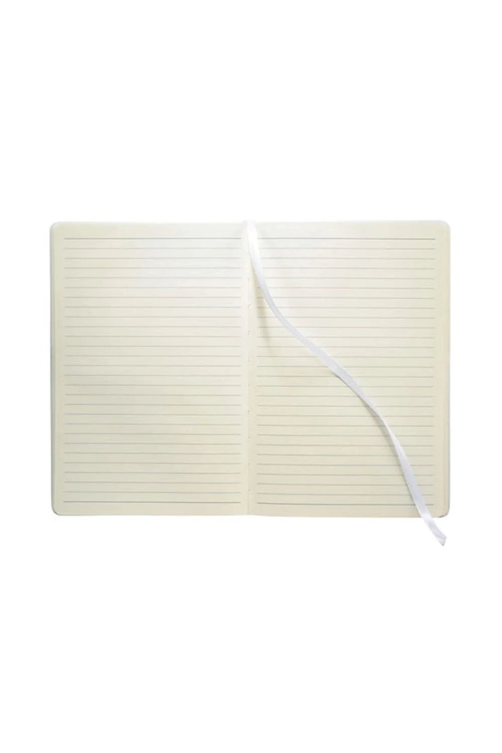 Alternative view of MVV Journal